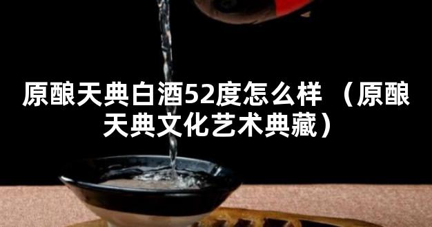 原酿天典白酒52度怎么样 （原酿天典文化艺术典藏）